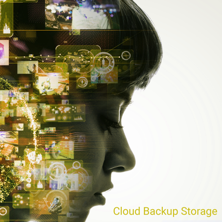 Livedrive Cloud Backup Storage 1TB 5 Devices